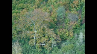 Arundel in the Autumn