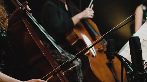 Delphia Cello Quartet Plays Björk! | CodaBow