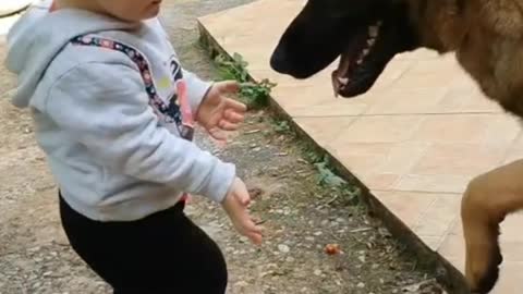 Child and his adorable dog playing in the yard!♾