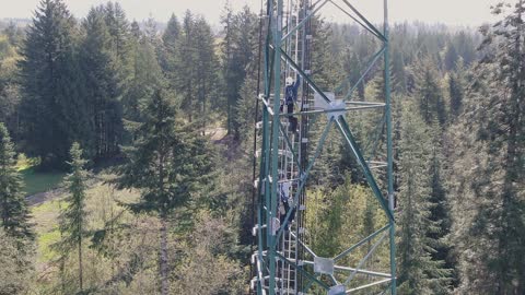 Pacificrigger's Tower Climbing crew at work