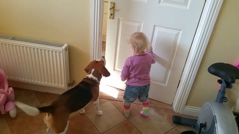 Cute Dog Helps Baby Open the Door