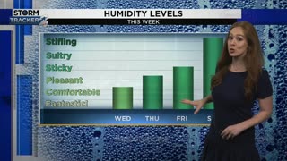 Caroline Brown's weather forecast (8/16/23)