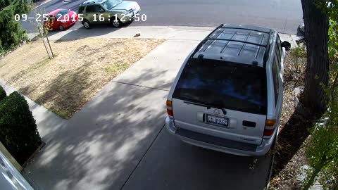 Package Thief Gets A Taste of His Own Medicine