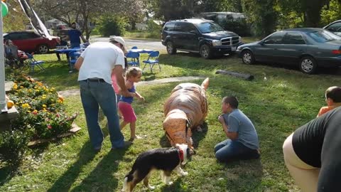 Girl Punches Dad in Inflatable Dinosaur Costume