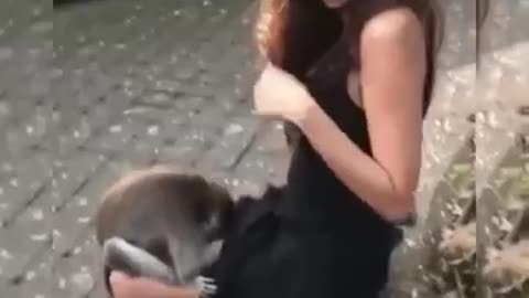 Compilation of naught monkeys bothering sexy girls