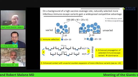 Întâlnirea Giganților COVID-19 cu Geert Vanden Bossche și Robert Malone