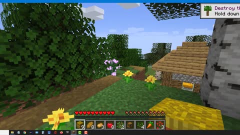 Minecraft vanilla skin version 1.17.1_ Shorts_2nd_Outting_4