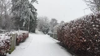 Walking to my local shop in the snow