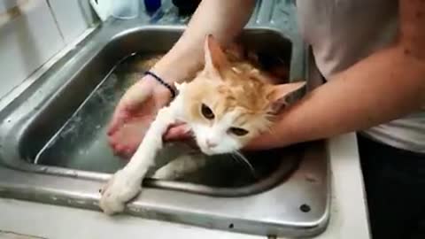 Benito taking a warm bath