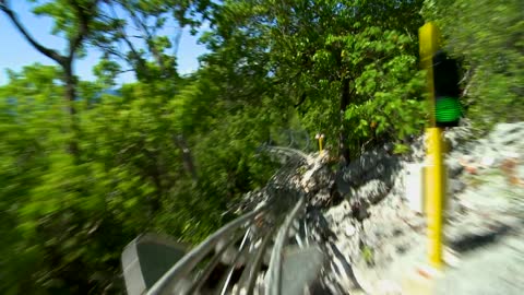 Riding On A Dragon Coaster