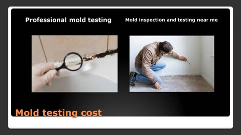 Deciding on a Mold and Radon Testing Company