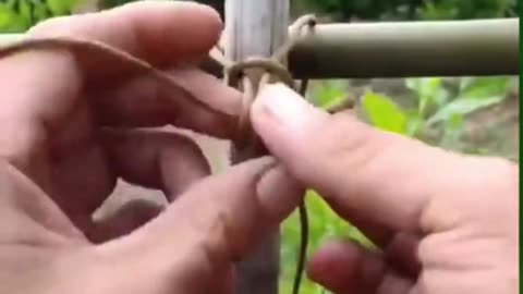 Tricks for tying bamboo to make it stronger