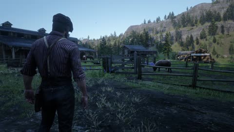 Red Dead Redemption 2 Playthrough Part 19