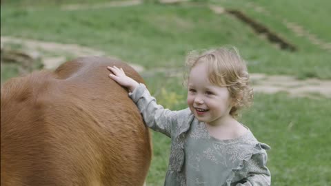 A Toddler Holding the Pony.