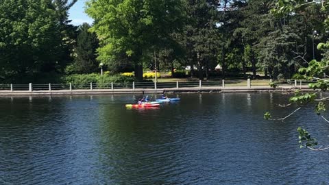 A couple of Kayakers on the Rideau Canal