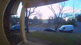 Porch Pirate Pooch Steals Package Off Porch