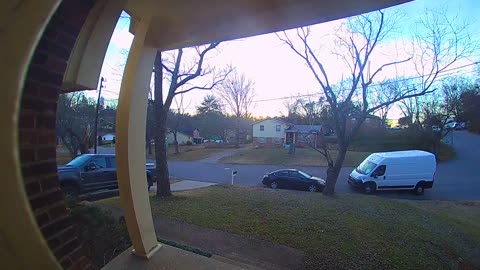 Porch Pirate Pooch Steals Package Off Porch