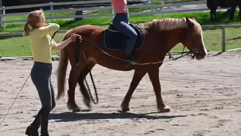 Beautiful girl riding 🐎 horse.