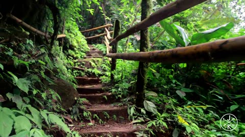 Costa Rica | Nature | #rumble