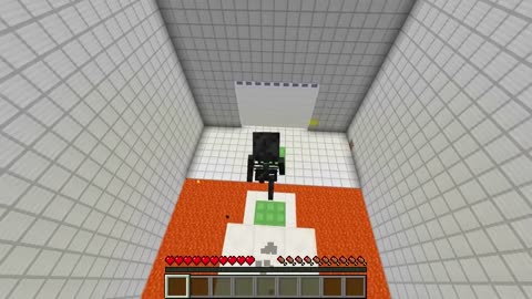 BRAIN SWAP: I BECAME A WITHER SKELETON in Minecraft