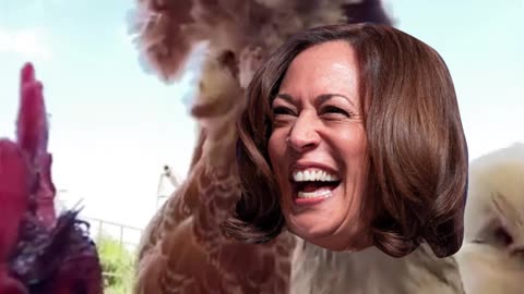 CHICKEN-MALA HARRIS!!!🤣🤣🤣