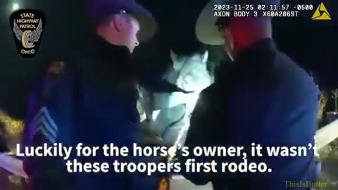Dash and body cam shows Ohio troopers track down runaway horse along I-71