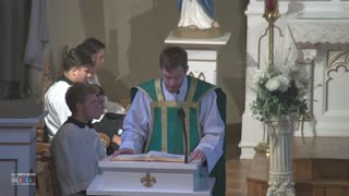 Never Be Discouraged, Be a Witness to Hope - Fr. Willig Sunday Homily - All Saints Parish