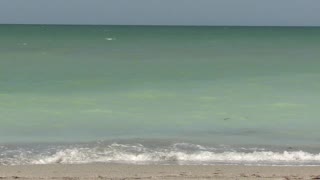 waves at Venice beach FL
