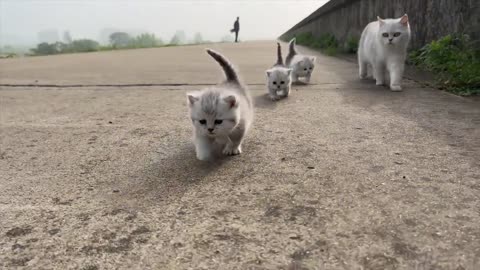 Morning run with mom