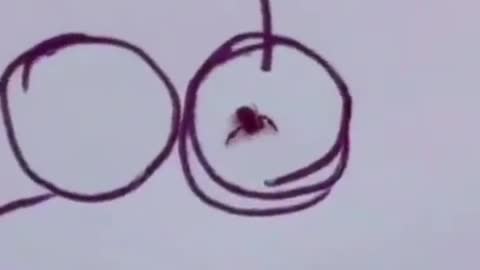 Zeichnen mit Käfern