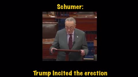 Shuckie Chumer: Trump Incited the erection