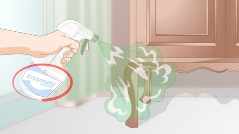 This is how to get rid of cat spray odor