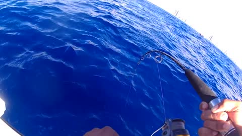 Kingfish Jigging the Reef Fishing South Florida