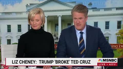 Liz Cheney Pushes Back Against Ted Cruz, Says Trump Broke Cruz