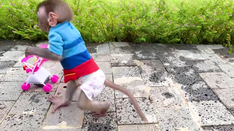 Monkey Baby Bon Bon feeds baby with a bottle and plays with ducklings in the pool