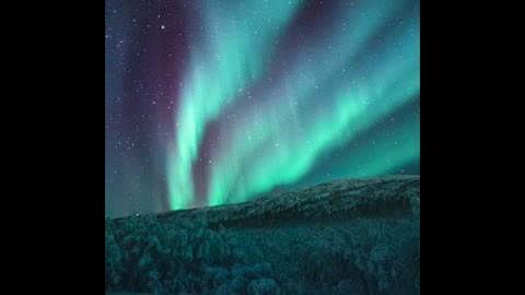 Northern Lights ( Aurora Boreal)