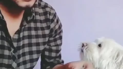 Funny video of a man and his dog soo cute