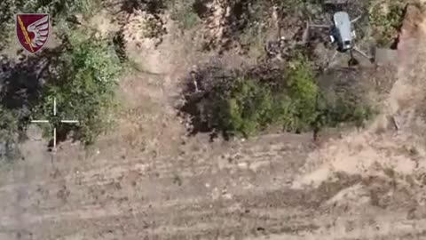 Ukrainian Paratroopers On the Hunt