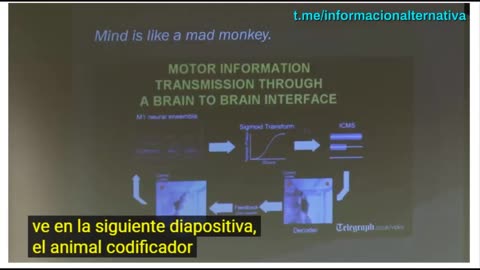 DESCLASIFICADO, Neuromodulación, transmisiones cerebrales