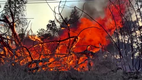 California's Park Fire sears over 125,000 acres in 48 hours