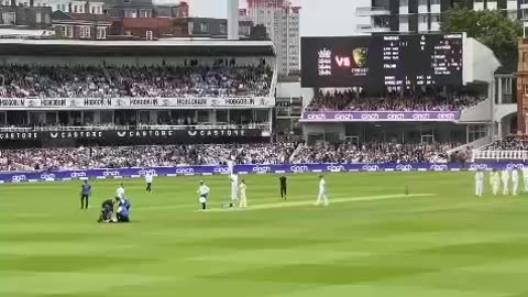 Climate activists booed by Cricket fans after interrupting match with bizarre 'demonstration'