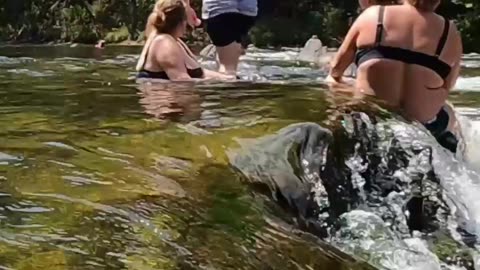 Shenandoah River #KayakingAdventure #ShenandoahRiver #FamilyFun
