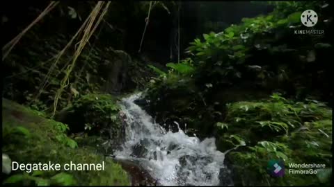 Sundanese traditional Indonesian music, flute and harp instruments