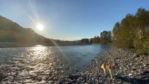 relax with nature Chilliwack river in beautiful British Columbia White Noise Stream