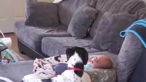 Dog calms down crying baby