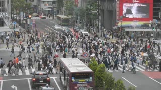 Crowded Intersection In Tokyo Makes Pedestrians Resemble Working Ants