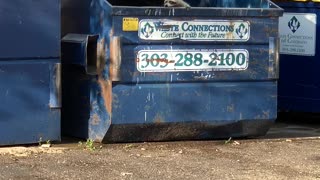 Man Helps Rescue a Racoon Stranded in Dumpster