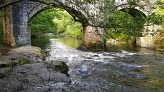 River Dart. Dartmoor. Devon . England.