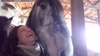 Loving horse hugging owner