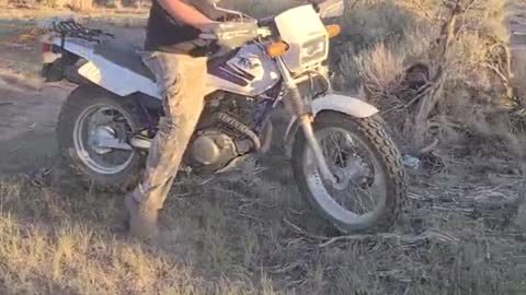 1979# Mighty Yamaha TW pulls dead tree back to camp